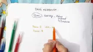 Drug metabolism | Phase 1 and Phase 2 reactions | Ch 4 | Part 1