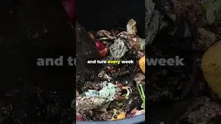 #backyardgarden #composting #please_subscribe_my_channel