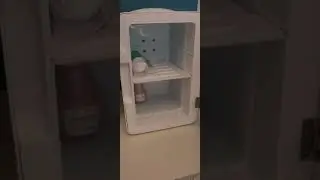 AstroAI Mini Fridge,15 Can 10 Liter Coolers & Refrigerators Mini Cooler, AC/DC Thermoelectric Skinca