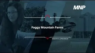 Foggy Mountain Farms