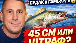 СУДАК В ГАМБУРГЕ 😱 Где ловить, на что клюёт и за что реально штрафуют