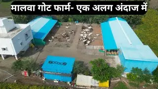 Malwa Goat Farm, Most Renowned Goat Farming Training Centre of Central India