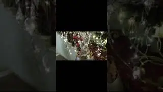 лесница в Ноциональ