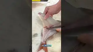 Stop Wrecking Your Fish! Fillet Like a Pro 🐟 #cuttingskills #shorts #filleting