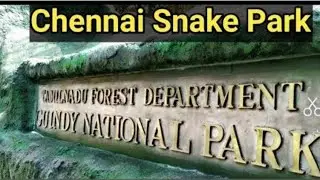 Chennai snake park