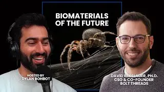 Biomaterials of the Future: Spider Silk, Mycelium, and Beyond