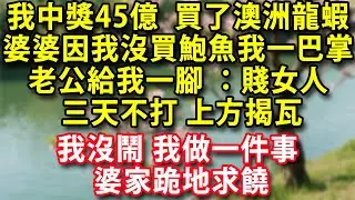 我中獎45億 買了澳洲龍蝦回家 婆婆卻因我沒買鮑魚當眾給我一巴掌老公一腳給我踹倒怒罵：賤女人三天不打上方揭瓦 我沒鬧 我做一件事婆家跪地求饒#人生感悟 #健康#情感#婚姻#老年生活 #家庭 #故事