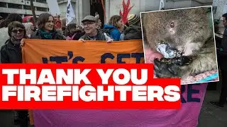 Climate Change protest: Londoners thank Australian fire fighters