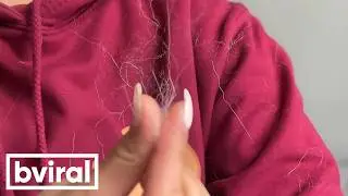 With a husky, every day is shedding season.
