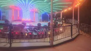 Marley nd fazier at the fair having fun