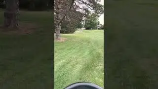 Mowing rough sections today, hopefully we get some rain! #golfcoursevlog #golfcoursemaintenance