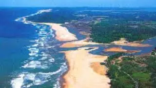 Aquatic ape hypothesis | Wikipedia audio article