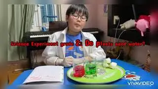 Science experiment grade 2: Do plants need water