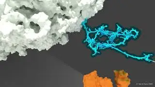 A visualization of the studied protein folding process (AMOLF)