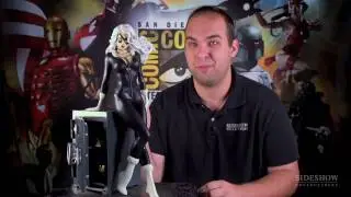 Black Cat Premium Format Figure