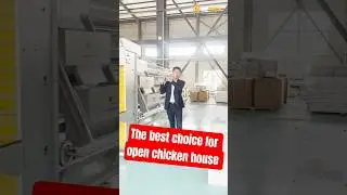 A-Type Layer Cages: The Best Choice for Open House Poultry Farming! - RETECH Farming #eggfarm