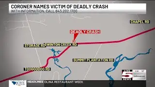 VIDEO: Coroner identifies victim killed in Charleston County single-vehicle collision
