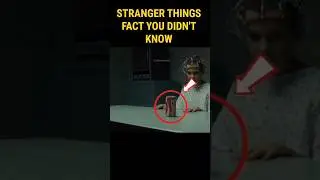 Stranger Things Facts You Never Heard Of 🤯 #strangerthings5  #steveharrington  #strangerthings
