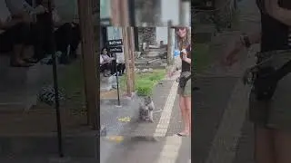 internet funny videos (part-37)#shorts #viralinternet