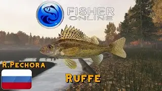 Fisher Online Daily -- RUFFE  -- RUSSIA R.PECHORA