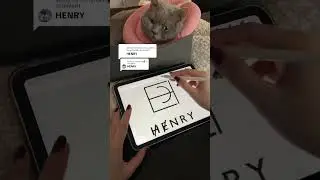 Antwort auf Noire Studio HENRY #designprocess #procreate