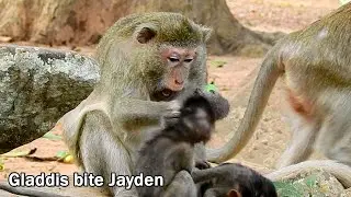 Million Pity!Skinny baby Jayden got attack and bite anytime, Gladdis catch hurt and bite head Jayden