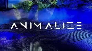 Animalize (UK) ▪️ Melotech Anjuna House Party DJ Set (29.11.24)