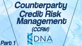 Управление кредитным риском контрагента (CCRM) | Часть 1 &mdash; Double N Advisors