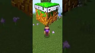 MINECRAFT BUT IT IS REALMCRAFT