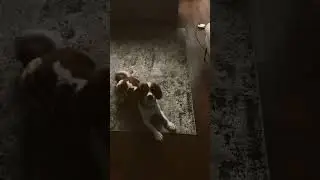 Turn around