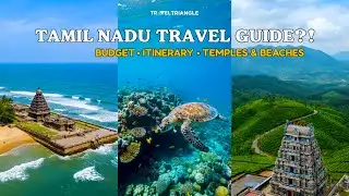 Complete Travel Guide to Tamil Nadu | Temples, Beaches, Hills & Culture | South India Travel