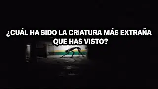 ¿CUÁL HA SIDO LA CRIATURA MÁS EXTRAÑA QUE HAS VISTO?