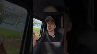 Каково это на самом деле &mdash; путешествовать по Ирландии с собакой.