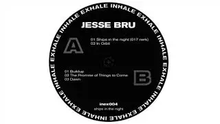 Jesse Bru - The Promise Of Things To Come