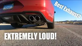 2020 Mustang GT BORLA S-TYPE CAT-BACK Exhaust First Impressions!