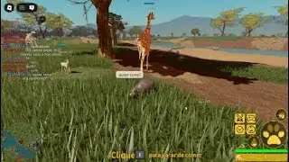Roblox_20260125122031