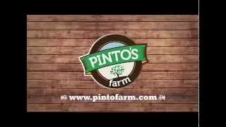 Things to do at Pintos Farm!