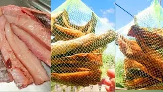 drying fish at home|dry fish making process at home