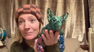 Hairless Cat Ornament for Unique Home D&eacute;cor - Review