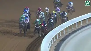RIYADH RACING SEASON MEETING NO 68 RACE NO 9