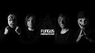 FUNGUS FRANKENSTEIN &middot; Rock experimental de Guadalajara
