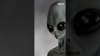Imagen oculta hace m&aacute;s de 30 a&ntilde;os, revelar&iacute;a la existencia de ovnis en la Tierra #viral #noticias