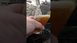 My Big Horn Double IPA. #homebrewing #homebrew #beer #budlightboycott #craftbrewing