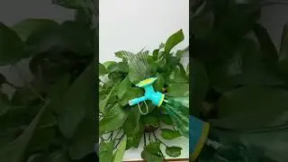 plant watering cap/ connector plant watering tool #householdgoods  #Just_review_365