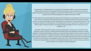 What is TRIPS AGREEMENT? What does TRIPS AGREEMENT mean? TRIPS AGREEMENT meaning & explanation