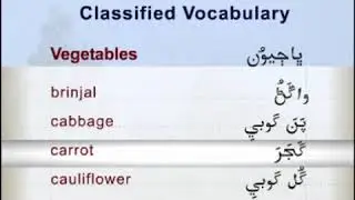 Vegetables Names in Sindhi
