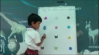Chohan | Ring The Object Which Is Different | Rise Learning World Kakinada.