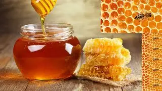 Top 10 Pure & Organic Honey Brands In India | #shorts