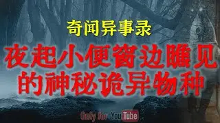 【灵异事件】夜起小便窗边瞧见的神秘诡异物种|我家对面被封禁的恐怖幼儿园|恶妇改性背后的神秘传闻#鬼故事#睡前故事#解压故事#灵异故事#民间故事#horror#ghost「奇闻异事录--灵异电台」