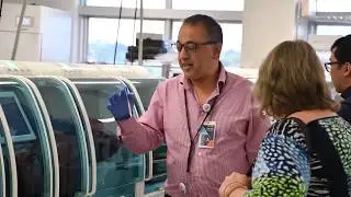 Behind the scenes in pathology at Box Hill Hospital